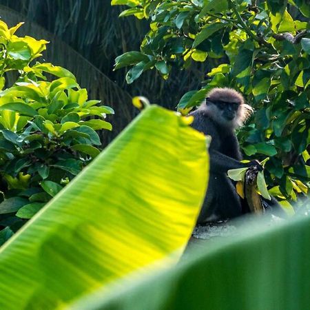 Aknara Rest Hotel Weligama Zewnętrze zdjęcie