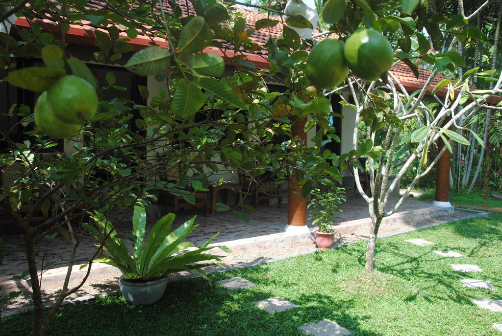 Aknara Rest Hotel Weligama Zewnętrze zdjęcie