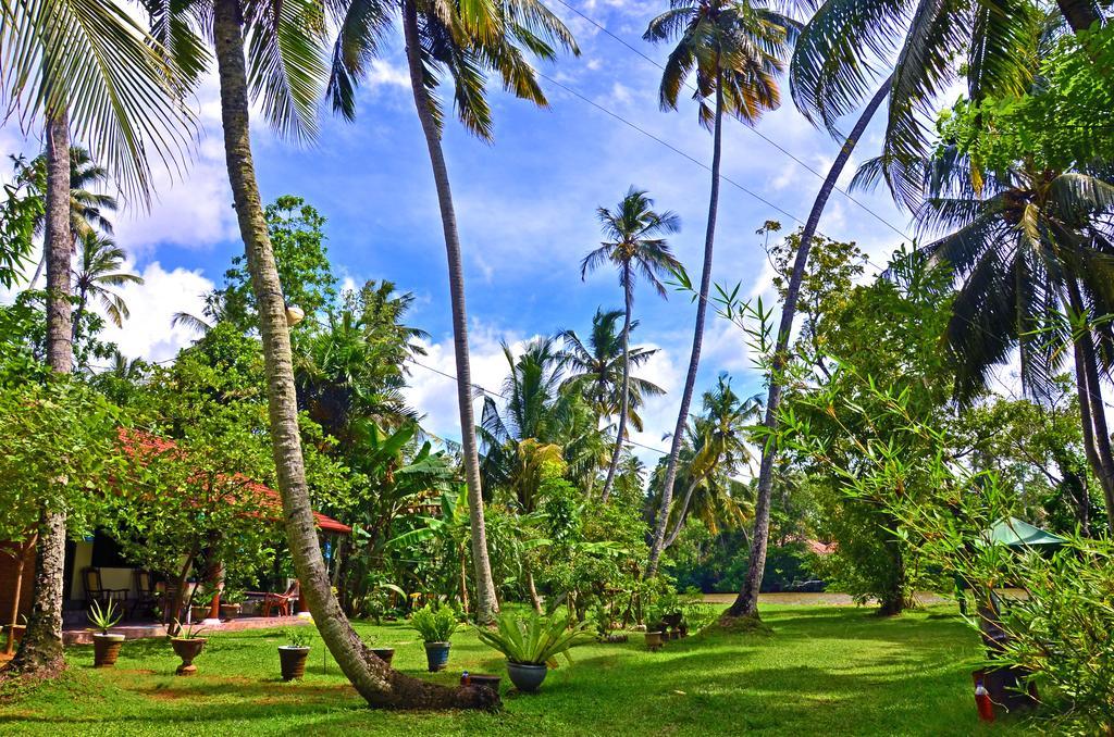 Aknara Rest Hotel Weligama Zewnętrze zdjęcie