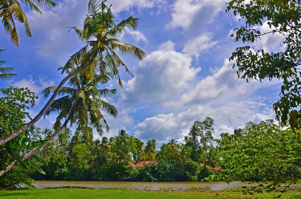 Aknara Rest Hotel Weligama Zewnętrze zdjęcie
